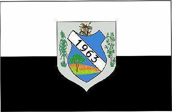 BANDEIRA DE INGAZEIRA-PE - INGAZEIRA - PE