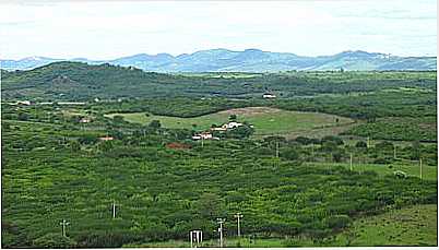 VISTA PANORMICA-FOTO:OSMANO MORAIS MASCEN  - INGAZEIRA - PE