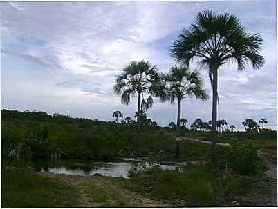 TURISMO RURAL - ENTARDECER NO RIO RIACHO, POR LANDE TRINDADE - COCOS - BA