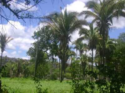 TURISMO RURAL - ESTRADA DO RIO ITAGUARI , POR LANDE TRINDADE - COCOS - BA