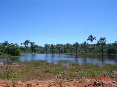 O PANTANAL COQUENSE. - POR NORMA MICLOS - COCOS - BA