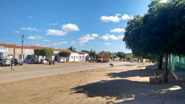 VISTA DA SAIDA PARA TUPARETAMA -  POR EDLIO ANDRADE - JABITACA - PE