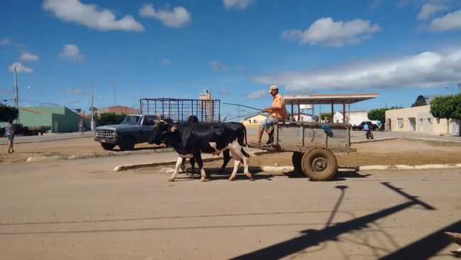 CARRO DE BOI, POR EDLIO ANDRADE - JABITACA - PE