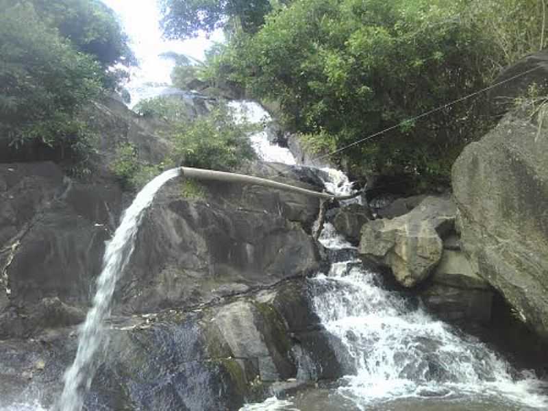 JAQUEIRA-PE-CACHOEIRA EM STIO-FOTO:CAMALEO DAS FOLHAGENS - JAQUEIRA - PE