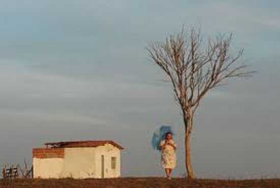 IMAGEM-FOTO:FOTOGRAFIASALEXANDREGONDIM - LAGOA DO OURO - PE