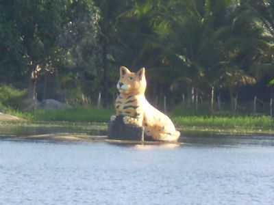LUGAREJO CH DAS PANELAS, POR RAFAEL TADEU SOARES - LAGOA DOS GATOS - PE