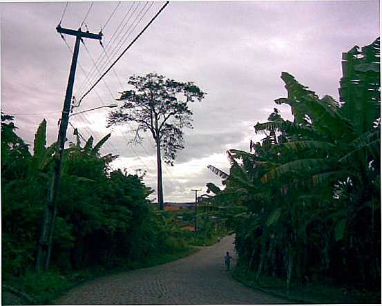  POR BAIARDO L.L.FILHO - MACHADOS - PE