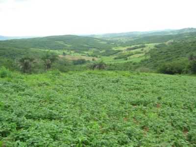 PAISAGEM NO SITIO ALTO VERMELHO, POR LUCAS FREIRE - MANARI - PE