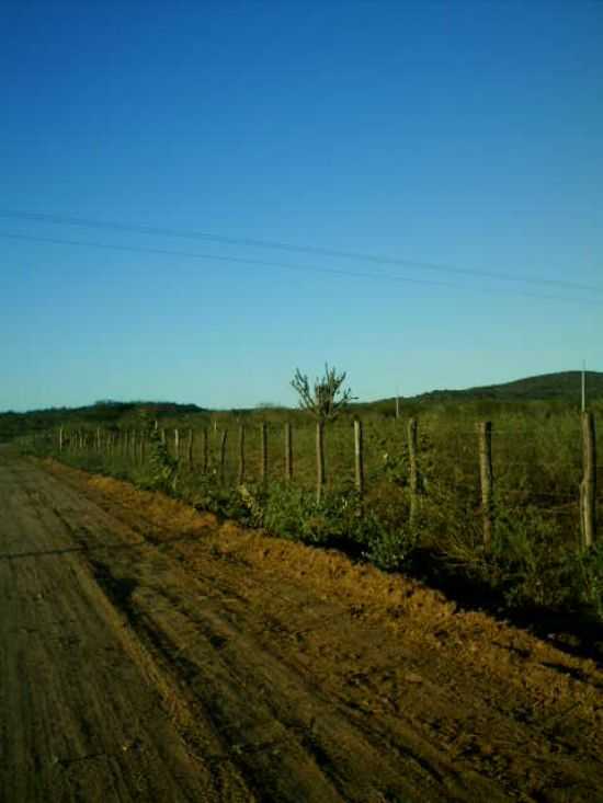 TERRA PLANAGEM E PAISAGEM NORDESTINA, POR ANTONIO CCERO DA SILVA(GUIA) - MIRANDIBA - PE