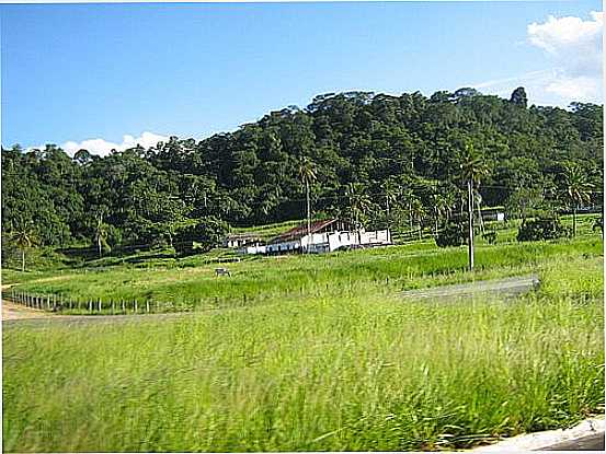 FAZENDA AO LADO DA BR-FOTO:LEONIR ANGELO LUNARD - MORENO - PE