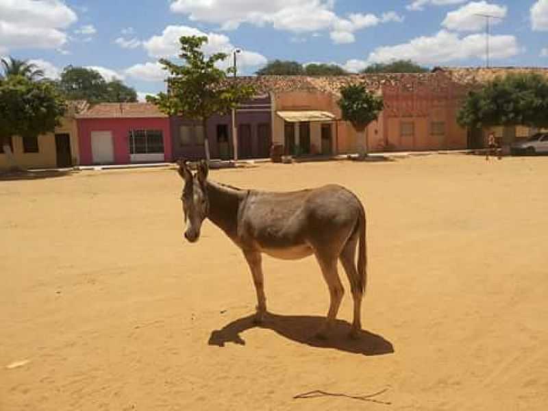 IMAGENS DO DISTRITO DE MOXOT NO MUNICPIO DE INAJ--PE - MOXOT - PE