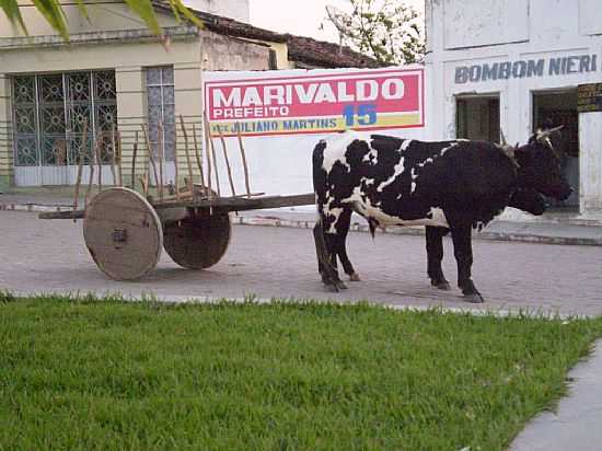 CARRO DE BOI NO CENTRO DE NEGRAS-PE-FOTO:MMALENCAR - NEGRAS - PE