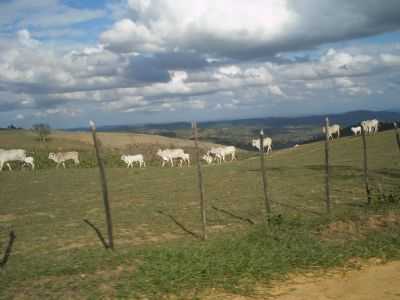 PAISAGEM RURAL, POR JOO AGUIAR - OROB - PE