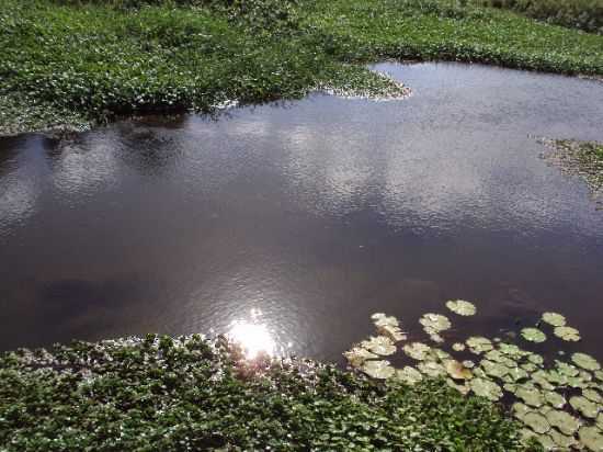 RIO CAPIBARIBE, POR EMMANUELLE EUGNIA - PAUDALHO - PE