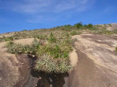 , POR FLVIO CAVALCANTI - PEDRA - PE