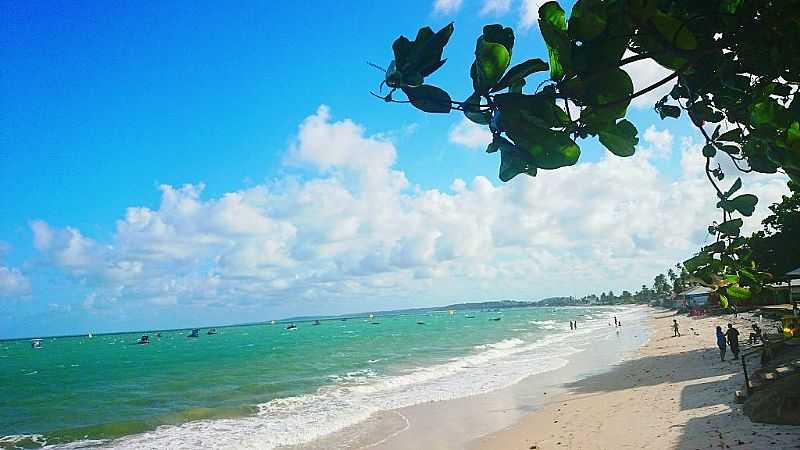 IMAGENS DA LOCALIDADE DE PONTA DE PEDRAS - PE FOTO BLOG LVARO MELLO - PONTA DE PEDRAS - PE