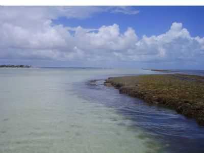 CORAL DE PONTAS DE PEDRA, POR ROSE - PONTA DE PEDRAS - PE