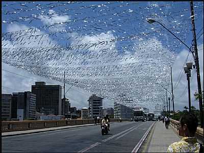 RECIFE FOTO GERSONLDN - RECIFE - PE