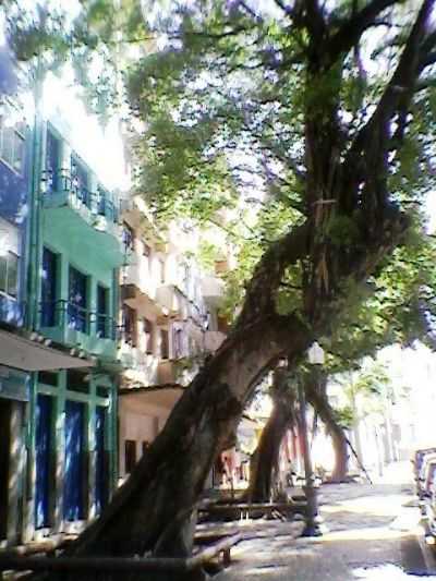 ANTIGA RUA DOS JUDEUS, POR SONIA MOURA - RECIFE - PE