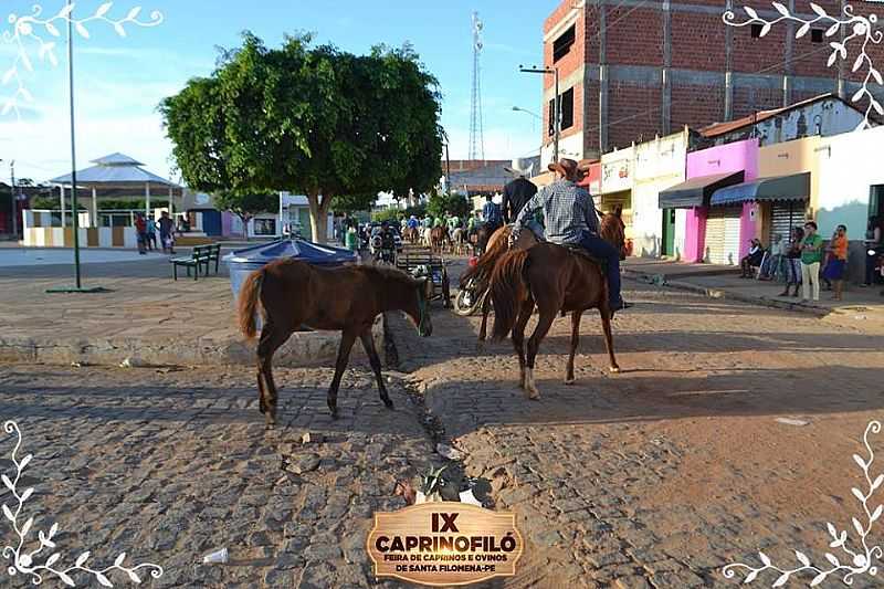 IMAGENS DA CIDADE DE SANTA FILOMENA - PE - SANTA FILOMENA - PE