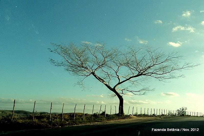 IMAGENS DA CIDADE DE SO BENEDITO DO SUL - PE - SO BENEDITO DO SUL - PE