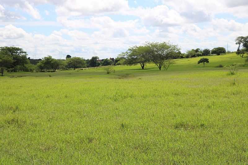 IMAGENS DA CIDADE DE SO JOO - PE - SO JOO - PE