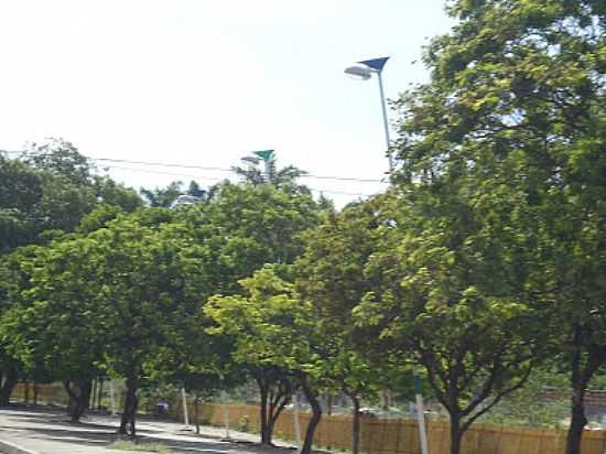 AVENIDA ARBORIZADA NA ENTRADA DE SO LOURENO DA MATA-PE-FOTO:ERNANI NEVES - SO LOURENO DA MATA - PE
