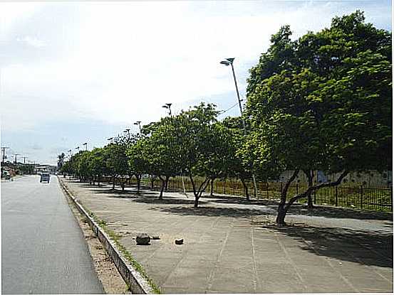 AVENIDA NA ENTRADA DE SO LOURENO DA MATA-PE-FOTO:ERNANI NEVES - SO LOURENO DA MATA - PE