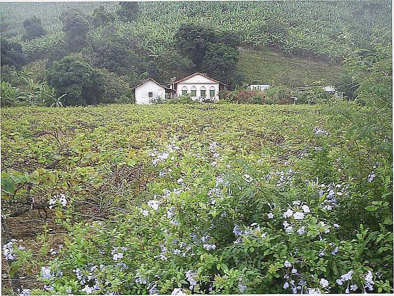 IMAGENS DA CIDADE DE SO VICENTE FERRER - PE - SO VICENTE FERRER - PE