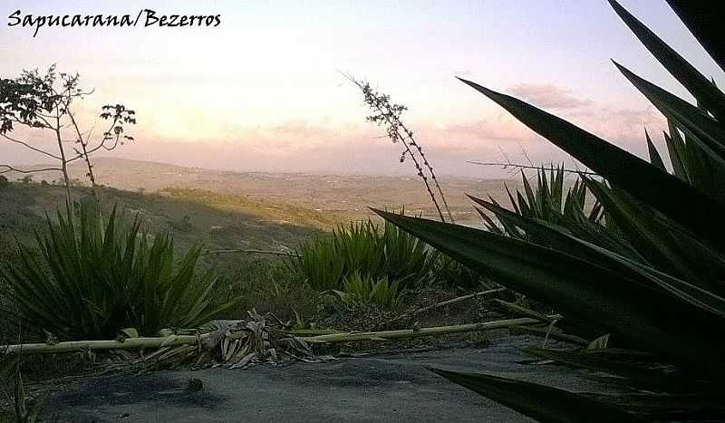 IMAGENS DO POVOADO DE SAPUCARANA NO DISTRITO DE BEZERROS - PE - SAPUCARANA - PE