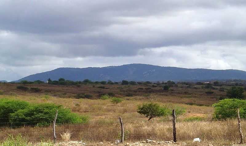 SERTNIA-PE-SERRA DE JABITAC-FOTO:MARCOS FLVIO GOMES RAPHAEL - SERTNIA - PE