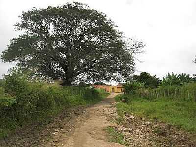 CHEGADA AO DISTRITO DE TABOCAS-FOTO:MAGNO LIMA  - TABOCAS - PE