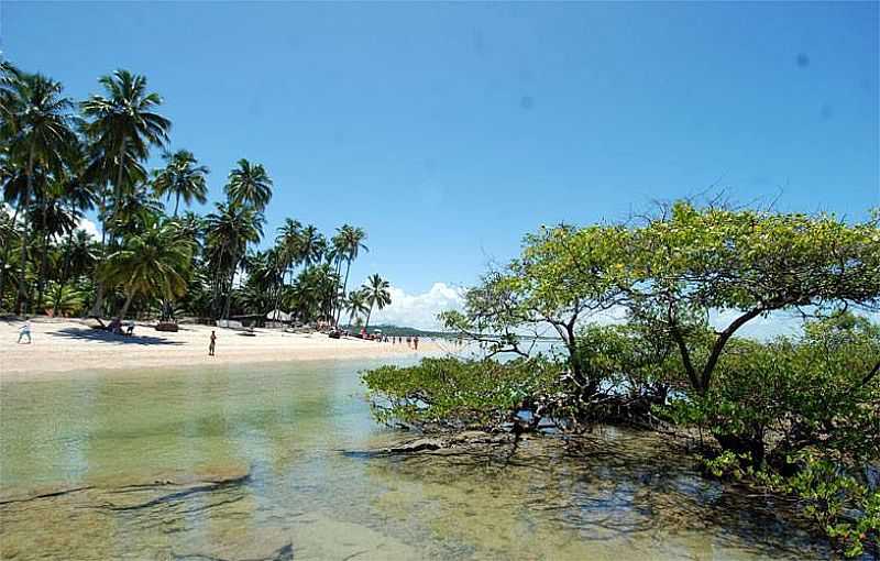 IMAGENS DA CIDADE DE TAMANDAR - PE FOTO PORTAL TAMANDAR - TAMANDAR - PE