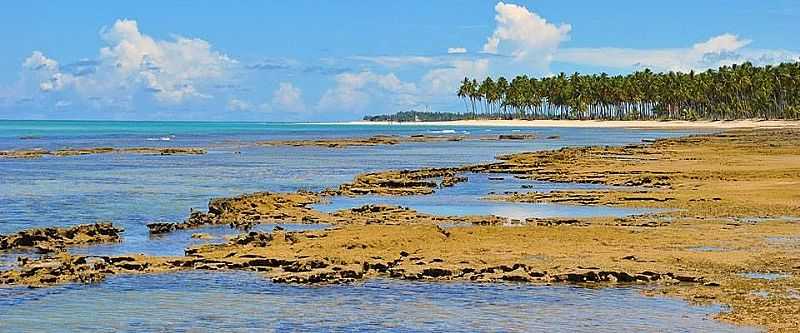 IMAGENS DA CIDADE DE TAMANDAR - PE FOTO PORTAL TAMANDAR - TAMANDAR - PE