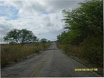 RODOVIA PE 483-FOTO:EPUGS  - TERRA NOVA - PE