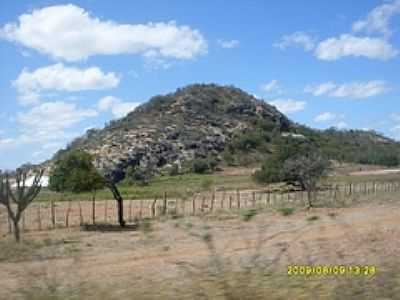 SERRA PRXIMO  TERRA NOVA-FOTO:EPUGS  - TERRA NOVA - PE
