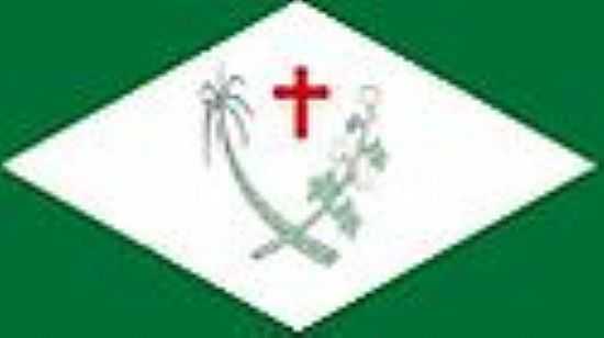 BANDEIRA DA CIDADE - VERDEJANTE - PE