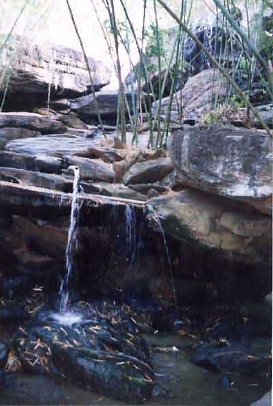 CACHOEIRA DO ENGENHO SALO - VICNCIA - PE