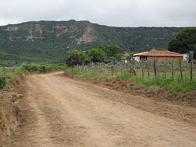 ESTRADA NA CHEGADA EM VIRAO-FOTO:MAGNO LIMA  - VIRAO - PE