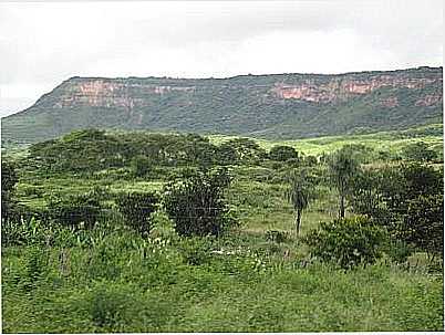 PAISAGEM DA CHAPADA DO ARARIPE-FOTO:MAGNO LIMA - VIRAO - PE