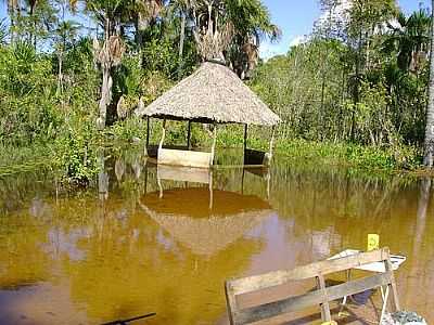 NASCENTE DE RIO, POR GERSON DE S. SANTOS. - BAIXA GRANDE DO RIBEIRO - PI