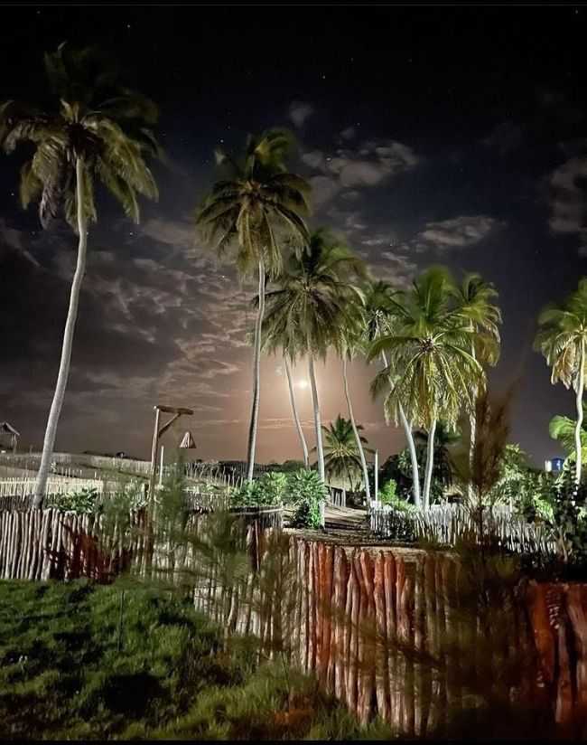 AT A NOITE  MARAVILHOSA, POR ADRIANA - CAJUEIRO DA PRAIA - PI