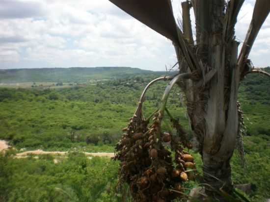 SERRA DOS COCOS, POR F.DEUS - CALDEIRO GRANDE DO PIAU - PI