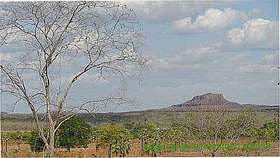 VISTA DA REGIO - CANAVIEIRA - PI