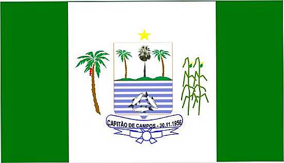 BANDEIRA DE CAPITO DE CAMPOS, POR ISVETILLANA VALENTINNA - CAPITO DE CAMPOS - PI