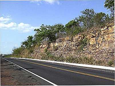 RODOVIA-FOTO:CAPITAO DE CAMPOS  - CAPITO DE CAMPOS - PI