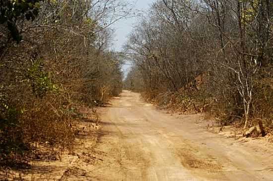 CAMINHO PARA SERRA DAS CONFUSES-FOTO:JULIO CAESAR RAMOS - CARACOL - PI