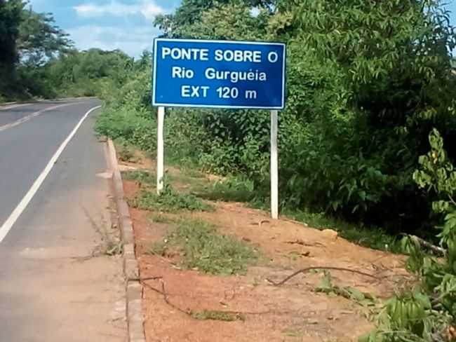 POR GILMAR GONALVES - COLNIA DO GURGUIA - PI