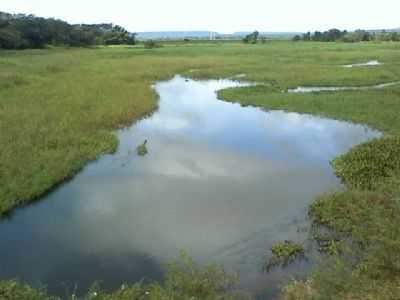 ALIANA DO GURGUIA , POR GILMAR GONALVES - COLNIA DO GURGUIA - PI