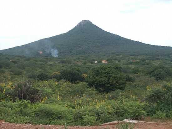 MORRO DOS OITIS,PONTO MAIS ALTO DE DOM INOCNCIO-FOTO:RAIMUNDO CAMPOS - DOM INOCNCIO - PI